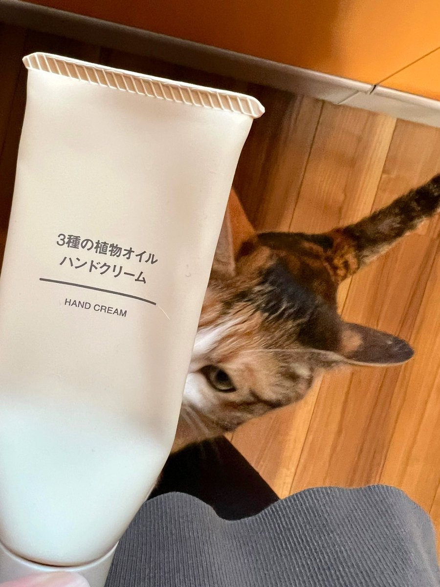 fu_sen_t's tweet photo. ここ数週間、愛猫(さしみ)にお薬を飲ませる為にチューブタイプのちゅ〜るを使っていたら、同じ形状の物に反応するように。

これはハンドクリーム。
不満げなさしみ。
私は手をすべすべにしたいだけなのに…若干理不尽。 https://t.co/BEMZbgfHyO