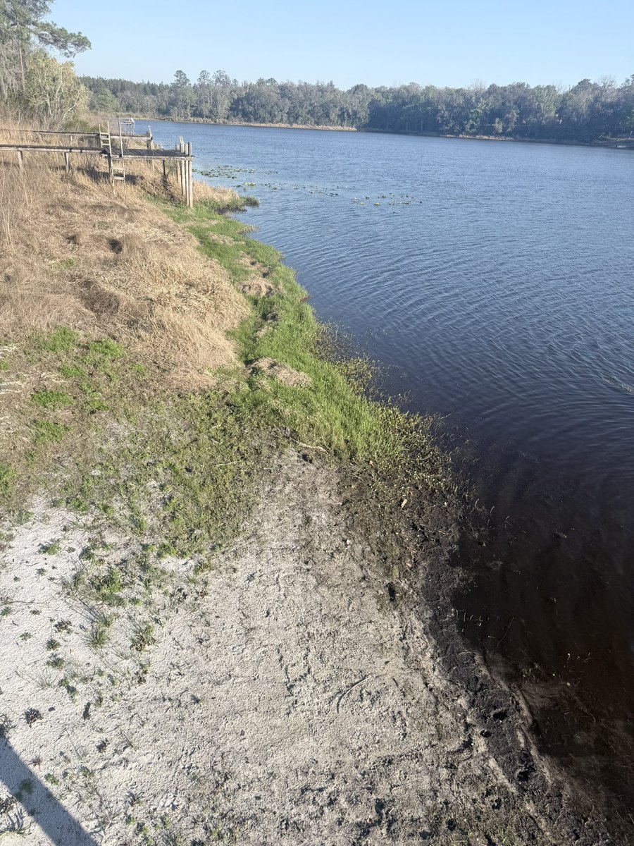 Christopher Dyer 🐊🐊🐊 tweet media