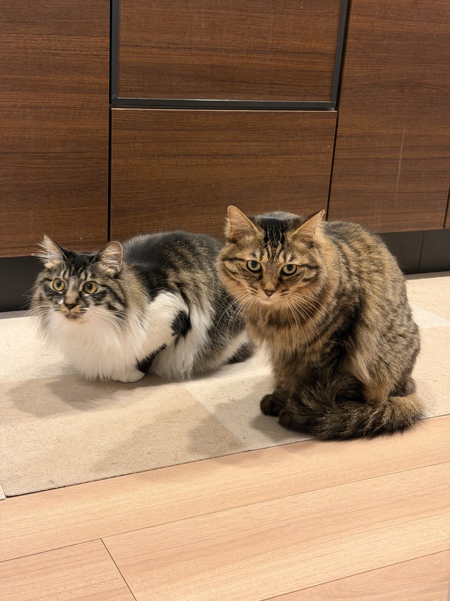 Takuma Kudou tweet media