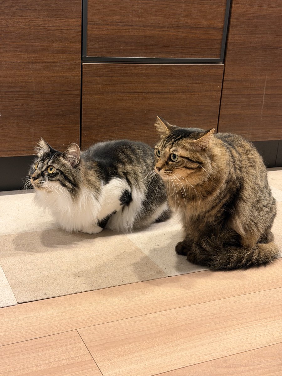 Takuma Kudou tweet media