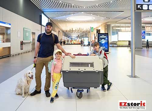 EZstorit tweet media