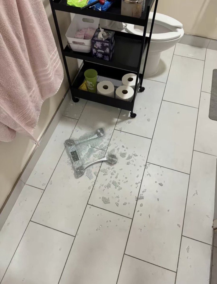 Abic 𑣿 tweet media