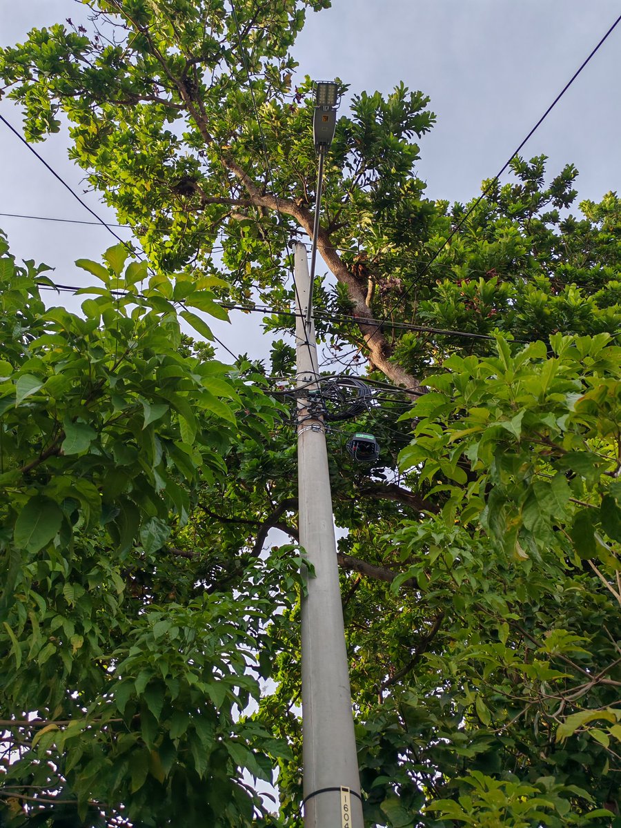 JOSE CASIS 🔴 #Panamá 🇵🇦 tweet media