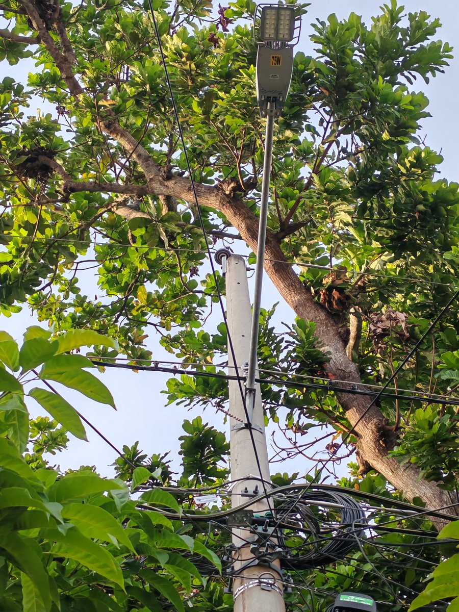 JOSE CASIS 🔴 #Panamá 🇵🇦 tweet media