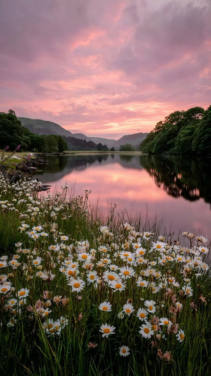 aesthetic tweet media