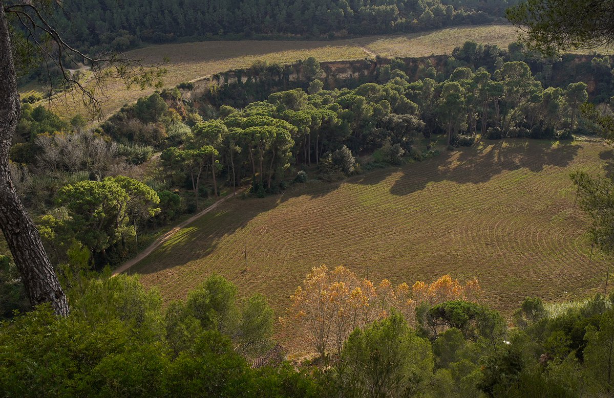 Anoia Turisme tweet media
