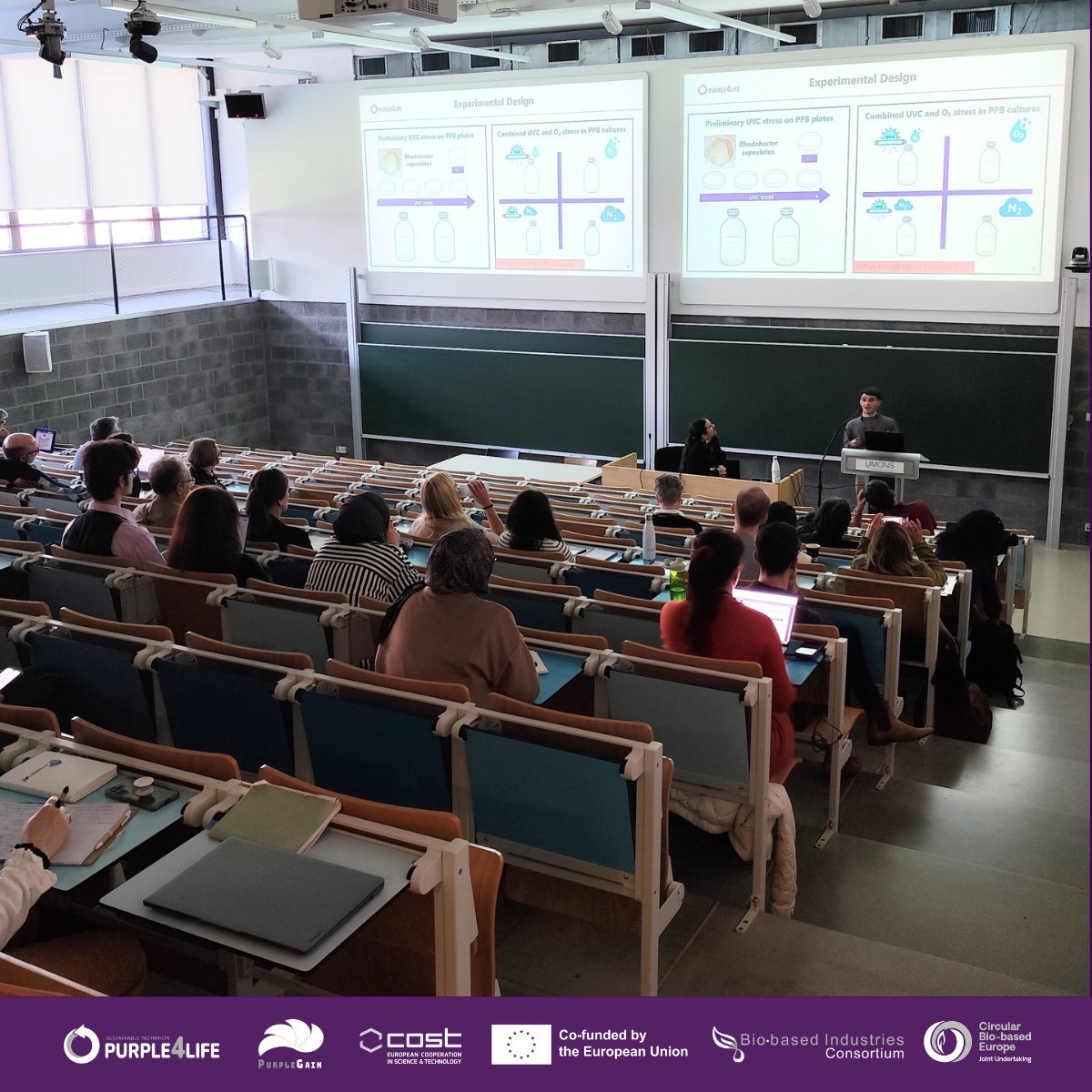 Purple4lifeEu's tweet image. 🟣 The Purple4Life &amp;amp; PurpleGAIN Workshop in Mons was a success!

Key challenges remain in regulation and scale-up, but the potential for sustainable food, feed, and health solutions is clear.

#Purple4Life #PPB
