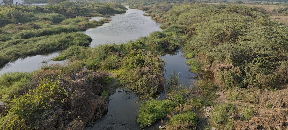 Yellow void tweet media