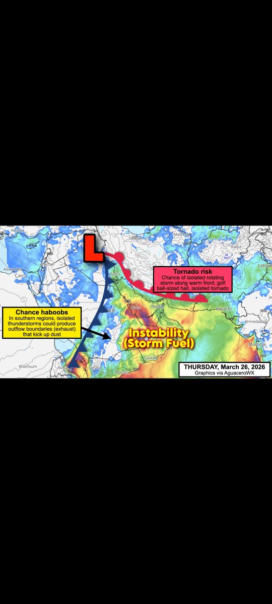 ابوعبدالرحمن بن شبيب tweet media