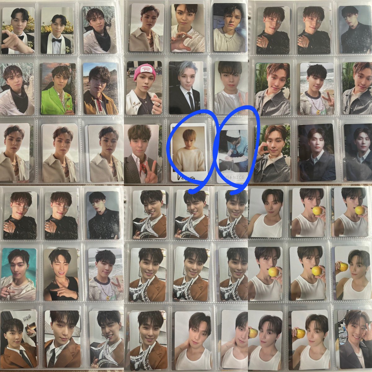 🦊🐻❄️(🦖) tweet media