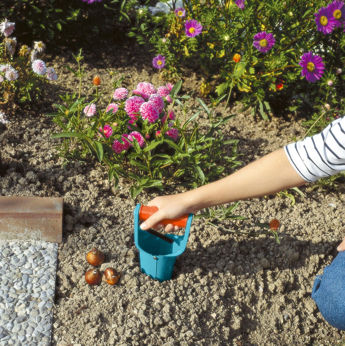 proiectcasa's tweet photo. Grădinărit simplu și eficient cu uneltele Gardena!
Gama completă👉 https://t.co/3uQKG3kmEO
Mai multe recomandări pe https://t.co/UatDhQtI71 https://t.co/6zVeNa8cVG