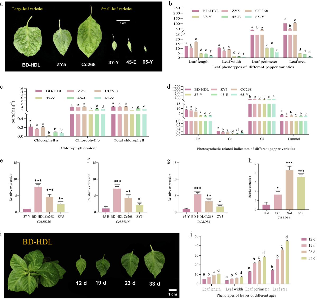 PlantSciRes's tweet image. #TropicalPlants

Metabolomic and transcriptomic analyses uncover regulatory mechanisms underlying key traits in tropical plants

@MaximumAcademic #MultiOmics #PlantBiology @TrendsinBiotech

Details: maxapress.com/article/doi/10…