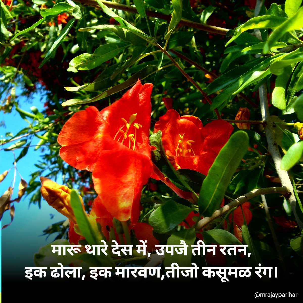 MR.AJAY PARIHAR tweet media