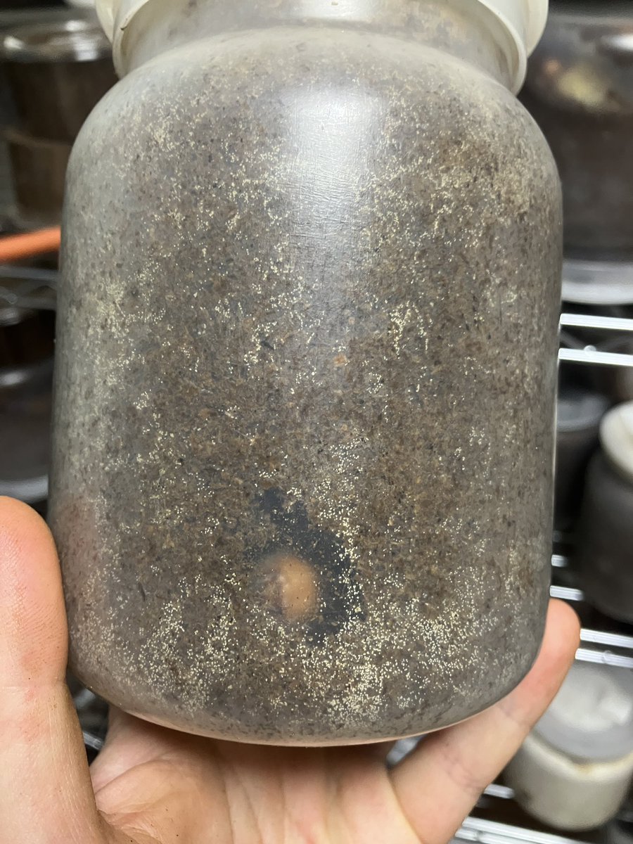 やきさば tweet media