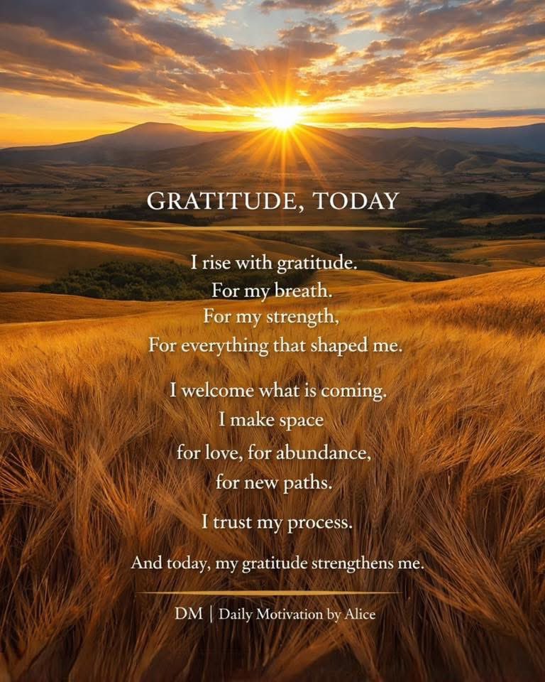 englishrose0512's tweet photo. Thank you Lord 🤍💛☀️ https://t.co/tRQoUrVFHB