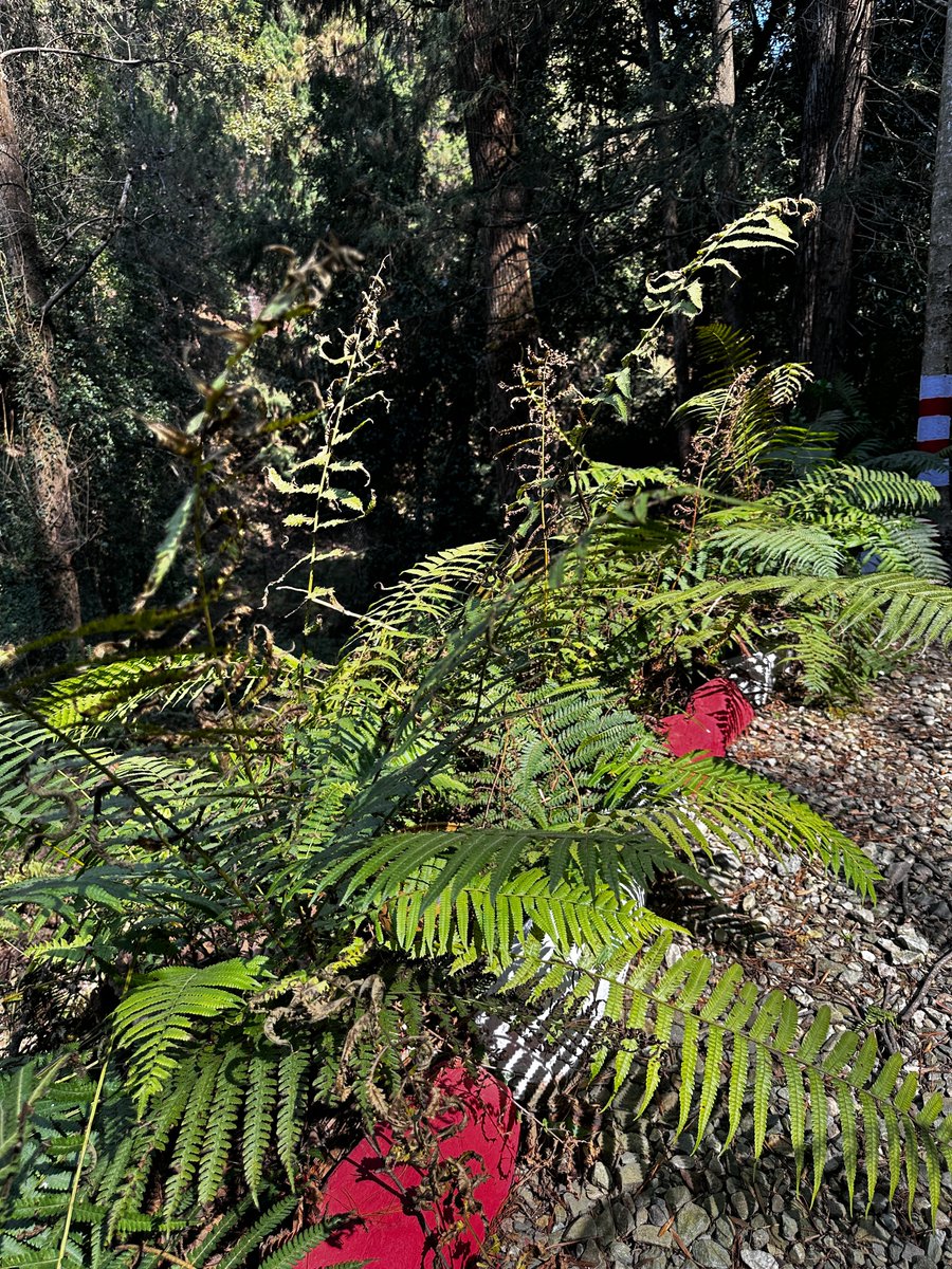 Parnashre ✈️ tweet media