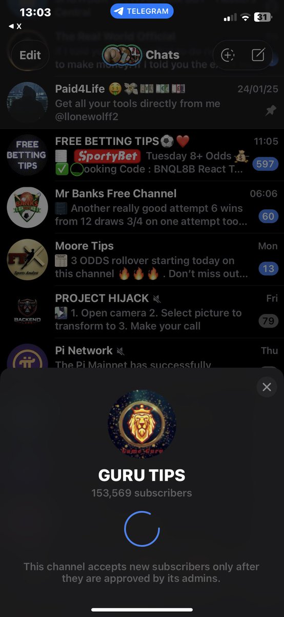 Lone Wolf 🐺 tweet media