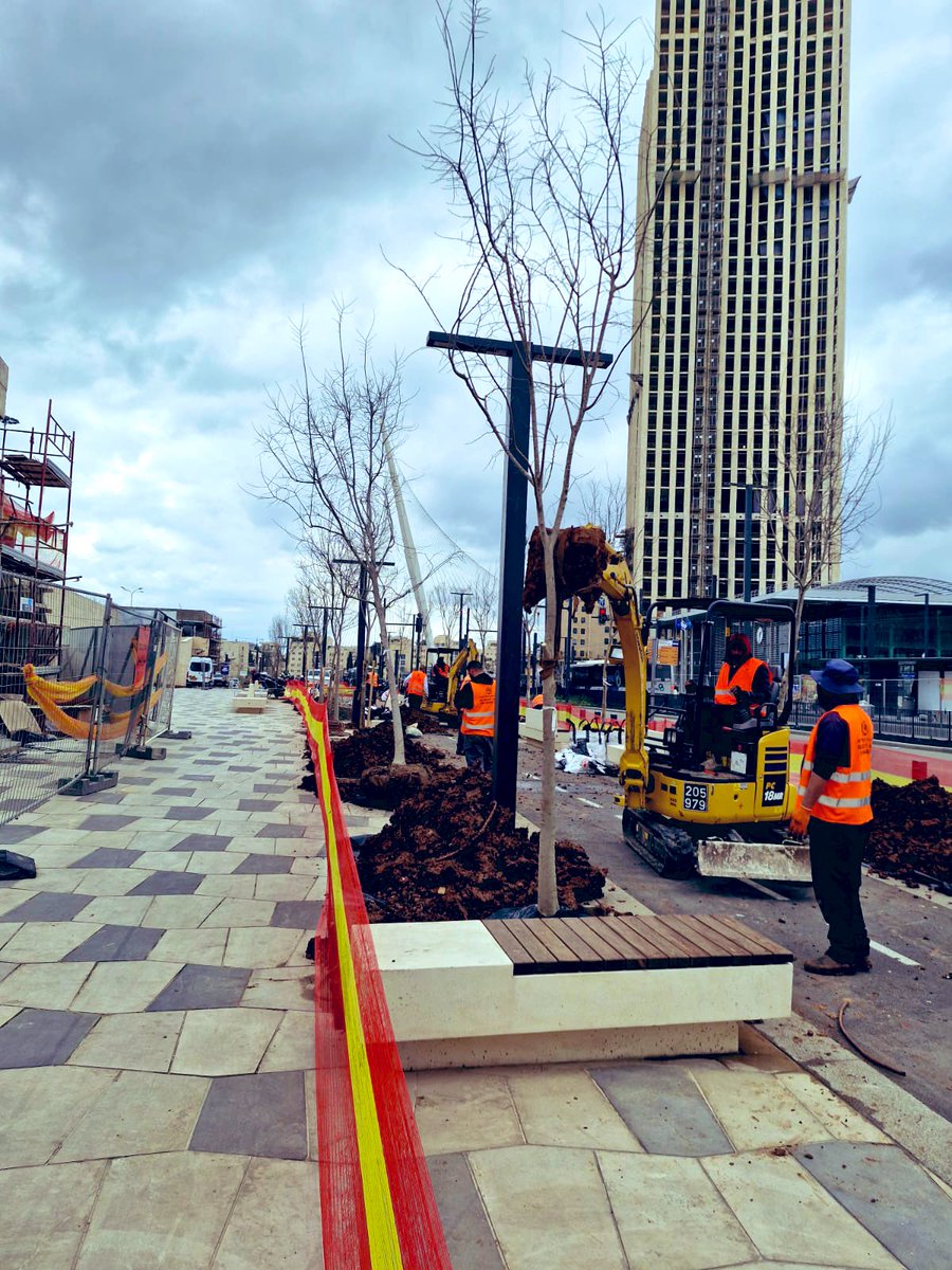 Inbar weiss tweet media