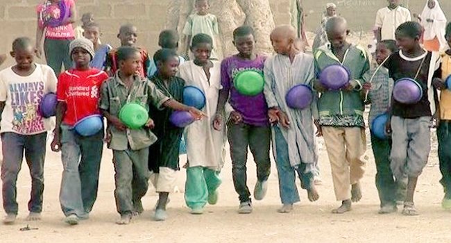 Rasmeffoun15742's tweet photo. Nigeria's education crisis:
•18–20 million children out of school (highest globally
•Literacy rate 60–70% with huge North-South gaps
Only 26% of kids aged 7–14 have basic reading/math skills
Real change is possible with commitment.
Donate to us today 👉https://t.co/wbDC3RoRF0 https://t.co/70K2UcgLAO