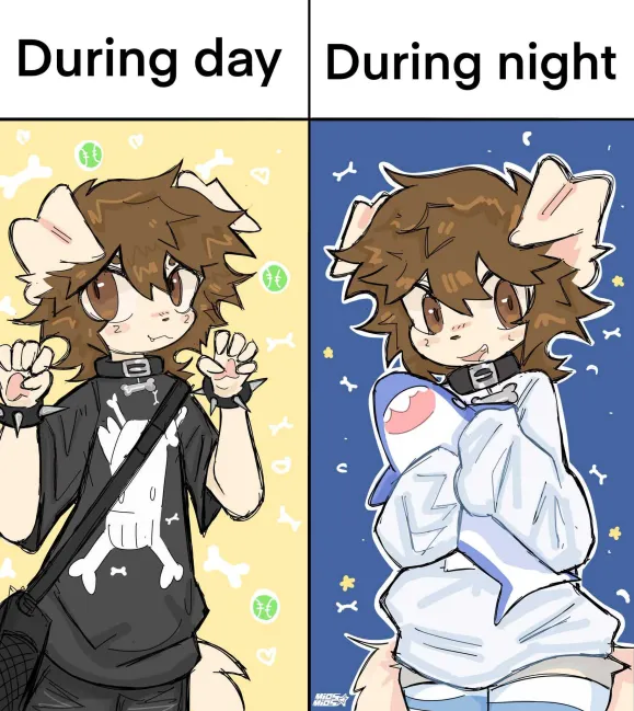 FurryFollowing tweet media