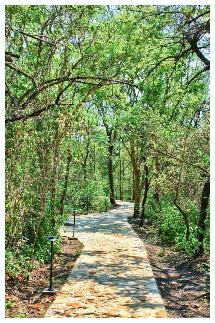 Amos Wekesa tweet media