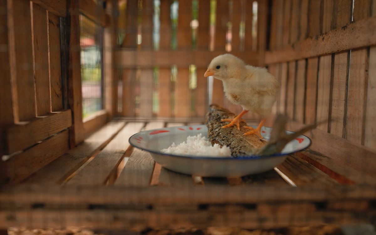 #BahagiaBarengNaWilla di Bioskop Sekarang! tweet media