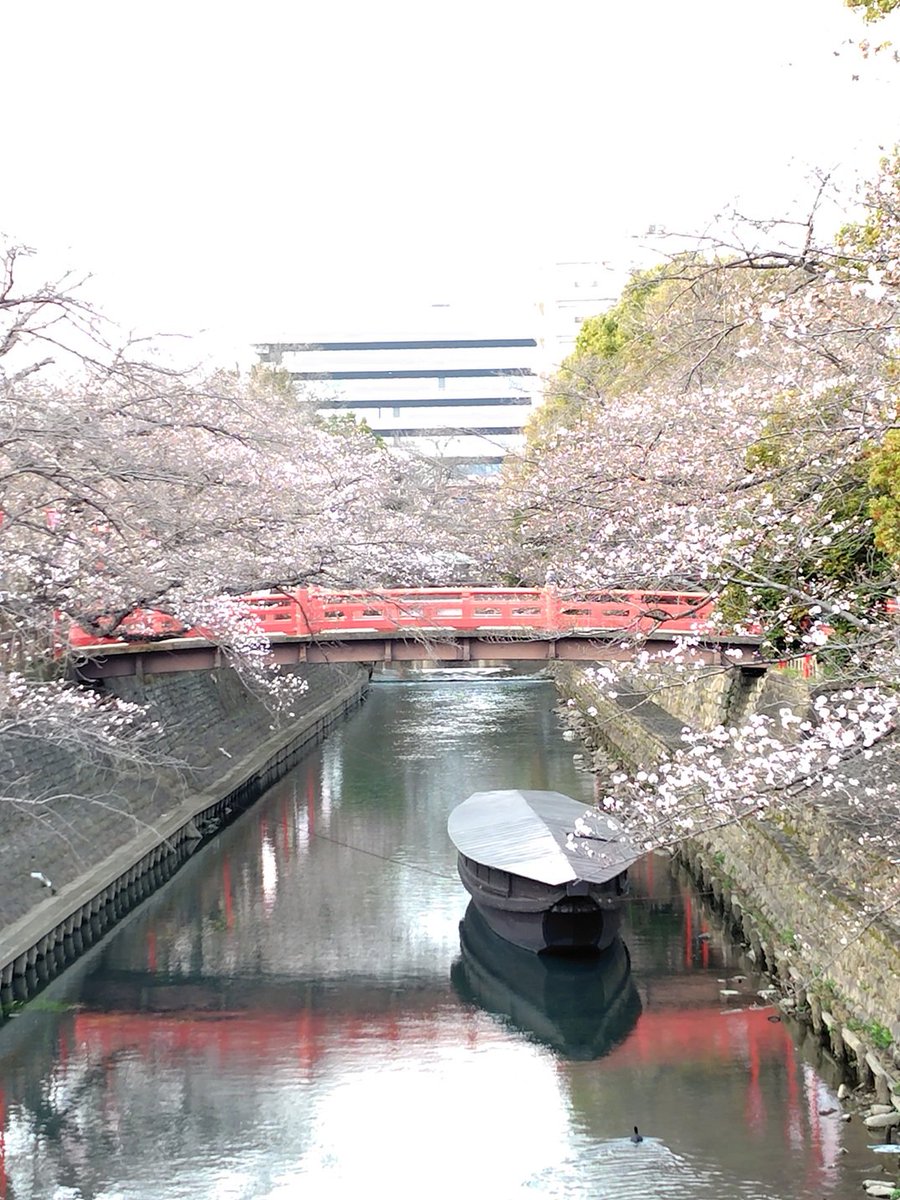 浜ちゅう tweet media