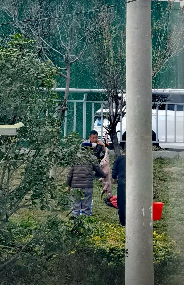 samesama4 tweet media