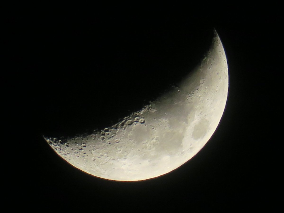 Super Mario tweet media