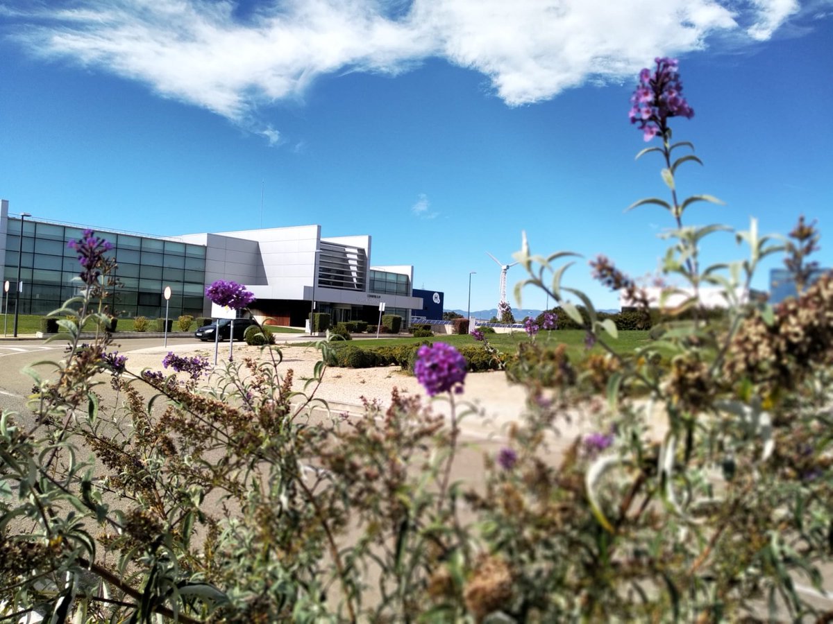 Ayuntamiento de Huesca tweet media