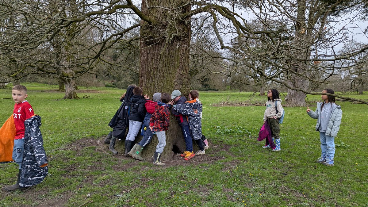 Candleby Lane tweet media