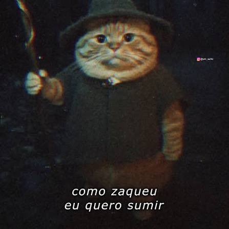 morte morrida tweet media