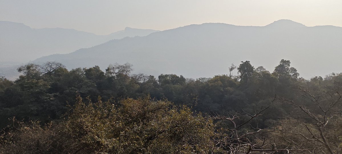 Yellow void tweet media