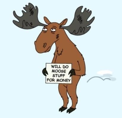Moose Bro tweet media