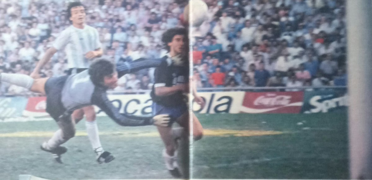 Ganar Gustar Golear ⭐⭐⭐ tweet media