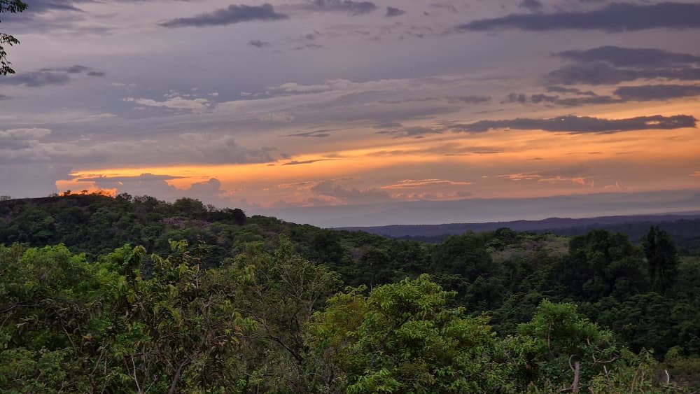 Amos Wekesa tweet media