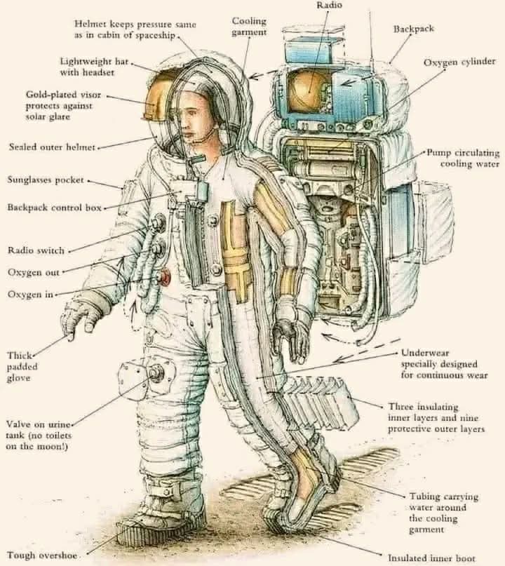 Black Hole tweet media