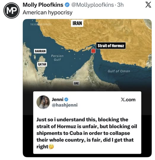 Help I'm a Rock tweet media