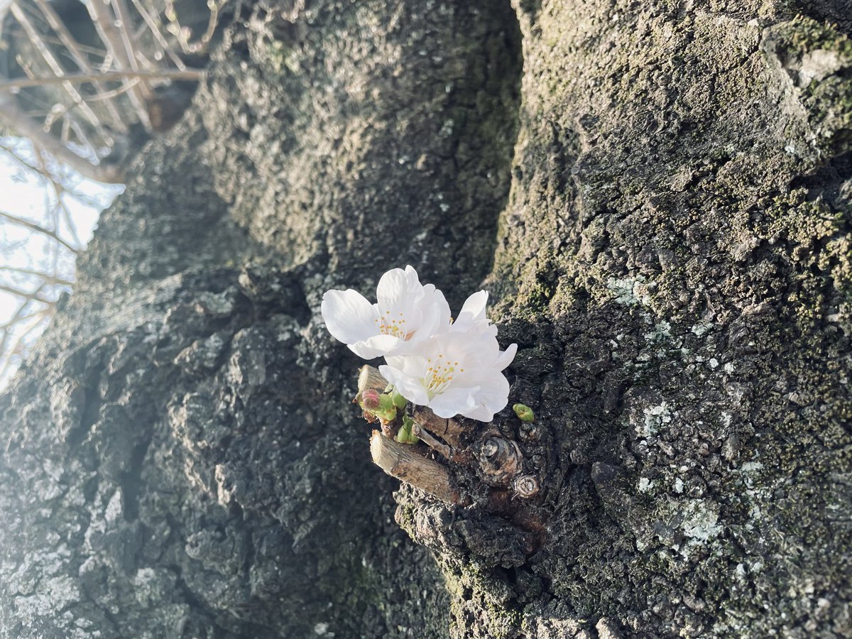 92（＾ω＾） tweet media