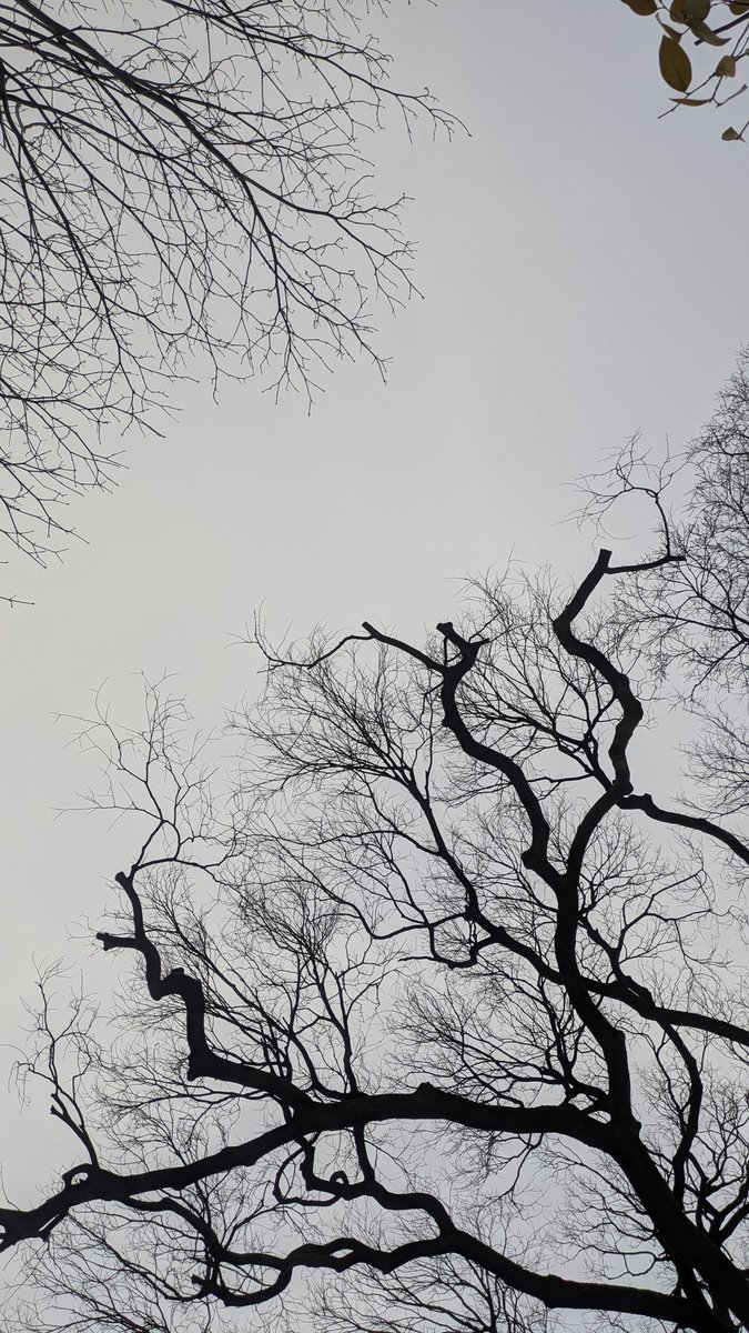 たか|40代からの人生再建 tweet media