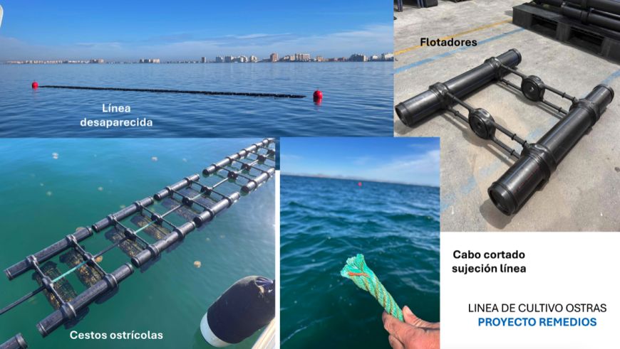 IPac. Acuicultura tweet media