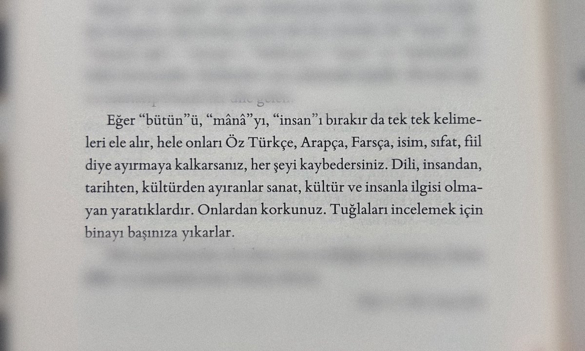 gececil kuşların ürkmediği aydınlık tweet media