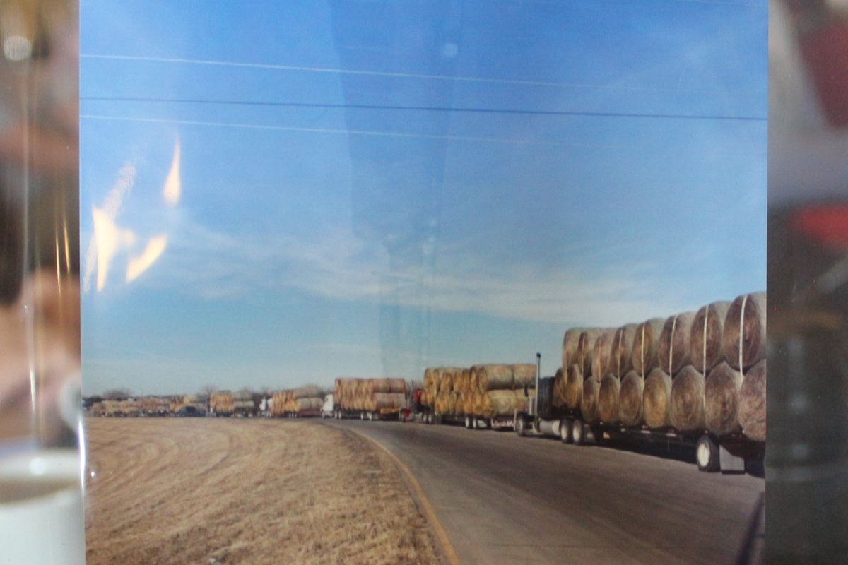 Grassroots Matt tweet media