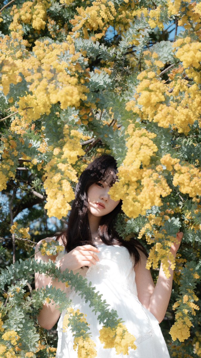 みつは@4/3夜a! tweet media