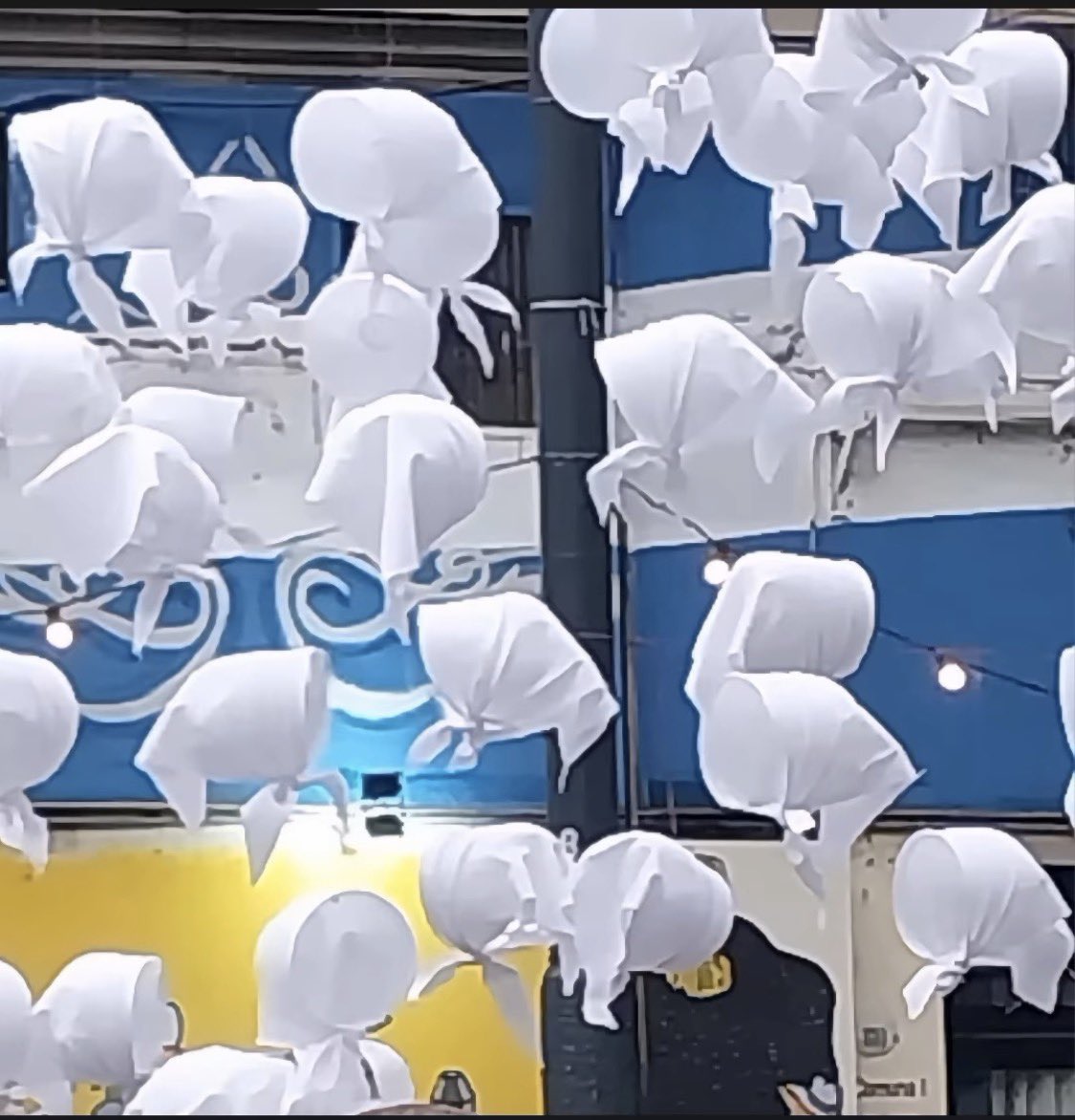 Claudia Piñeiro 💚 🧡 tweet media