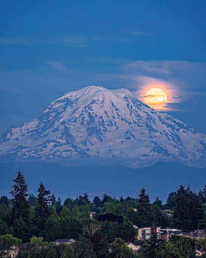 Sebastian Calleri tweet media