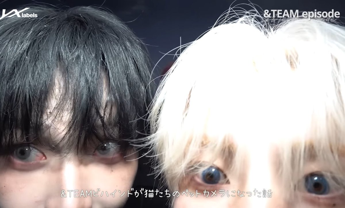 bella 🔥 nikjju socmed 📌 tweet media