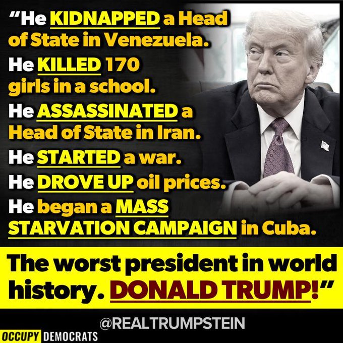 Magdalis almodovar tweet media