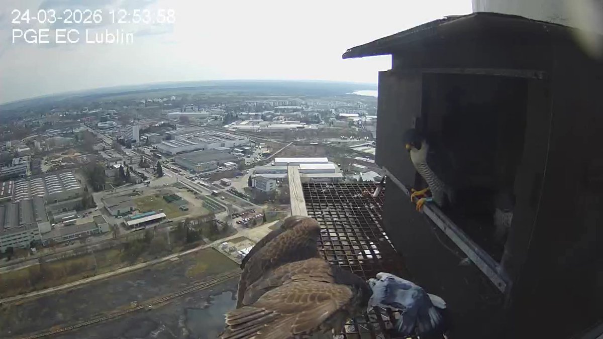 Alaska 🇮🇹 tweet media