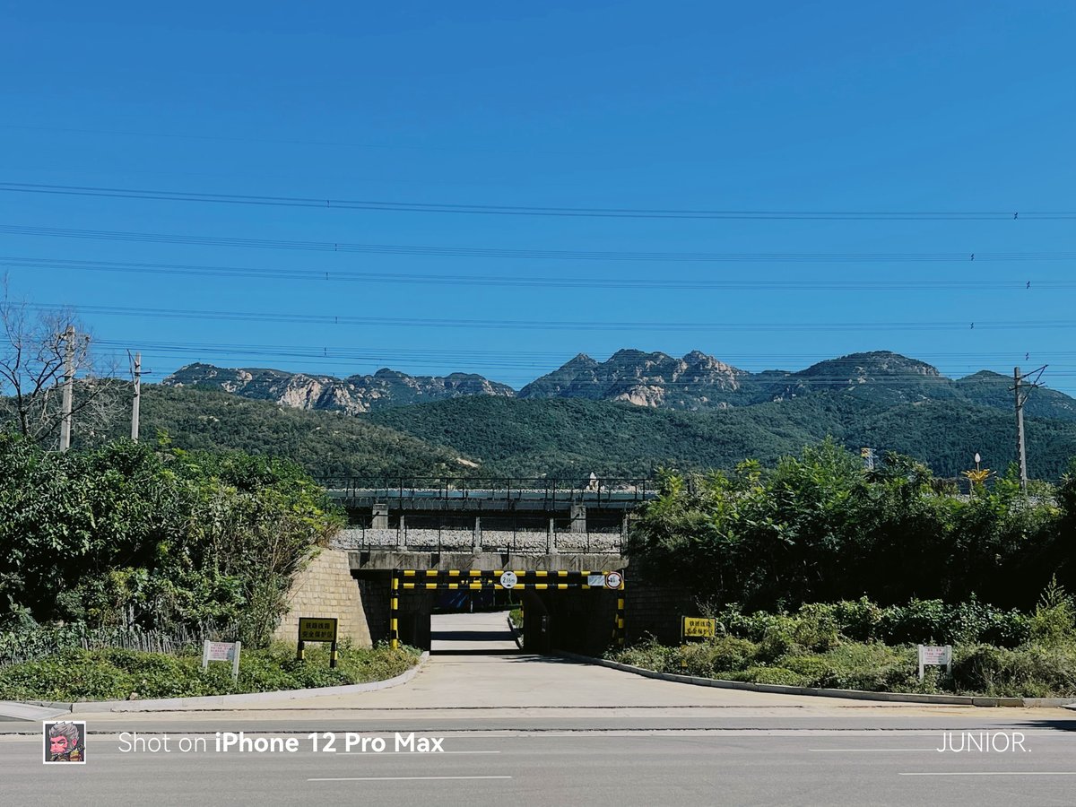 Kevin Fields tweet media